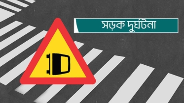 আমতলীতে রোবাক অটো গাড়ি থেকে পড়ে গৃহবধূ নিহত