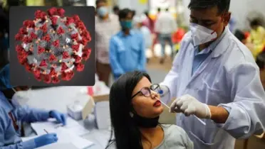 দেশে আবারও করোনায় ২ জনের মৃত্যু, শনাক্ত ১৫