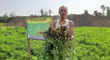 চিনাবাদাম চাষে বাজিমাত কৃষক শফিউল আলমের