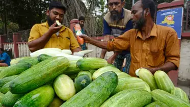 অতিরিক্ত গরমে শসার চাহিদা বেড়েছে