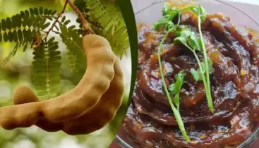 তেঁতুল খেলে রক্ত পানি হয় — কতটা সত্য?