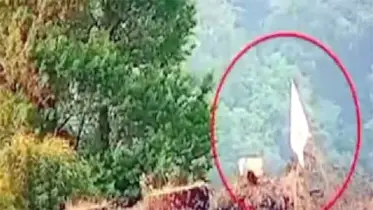 সাদা পতাকা উড়িয়ে ভারত আত্মসমর্পণ করেছে, দাবি পাকিস্তানের তথ্যমন্ত্রীর