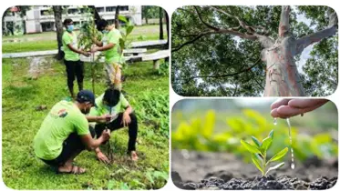 সবুজ হোক বিশ্ব, বর্ষায় শুরু হোক বাংলাদেশের নতুন বিপ্লব