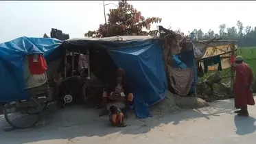 পলিথিনে ঢাকা সংসার,অনিশ্চয়তায় ঘেরা গাইবান্ধার লাভলু পাগলার জীবন