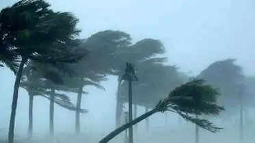 দুপুরের মধ্যে ঢাকাসহ যেসব জেলায় ৬০ কিমি বেগে ঝড় হতে পারে