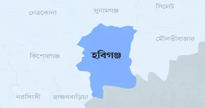 হবিগঞ্জে আ. লীগ নেতাদের হামলায় যুবদল নেতা আহত