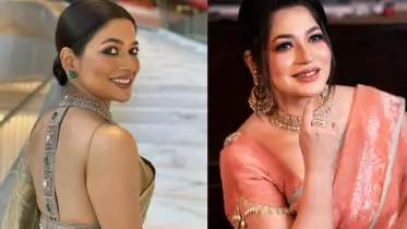 বাঁধন কি আসলেই বিদেশি গোয়েন্দা সংস্থার গুপ্তচর?