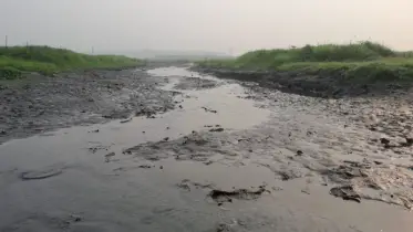 ড্রেজিং না হওয়ায় মেঘনার শাখা নদী শুকিয়ে বিপর্যয়ের মুখে বাঞ্ছারামপুর