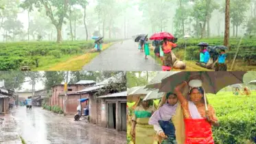 স্বস্তির বৃষ্টি চলছে উত্তরাঞ্চলে
