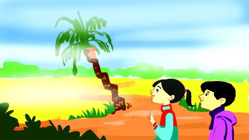 গাছেরা ঘুমায় কিভাবে? গাছেরা ঘুমায় কিভাবে?