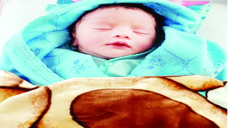 অপরিপক্ব নবজাতক অপরিপক্ব নবজাতক