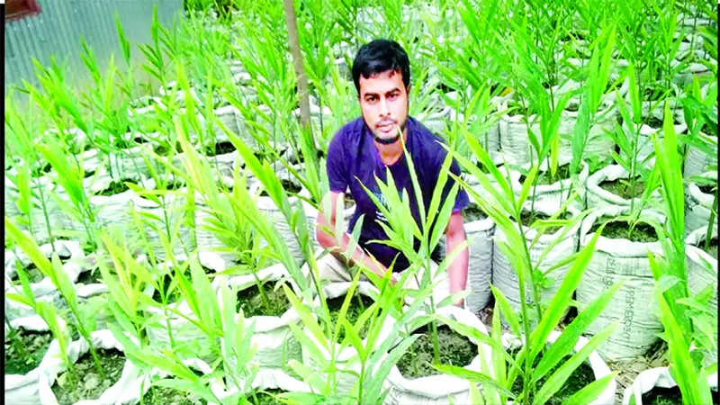স্বয়ংসম্পূর্ণতা অর্জনের সম্ভাবনা স্বয়ংসম্পূর্ণতা অর্জনের সম্ভাবনা