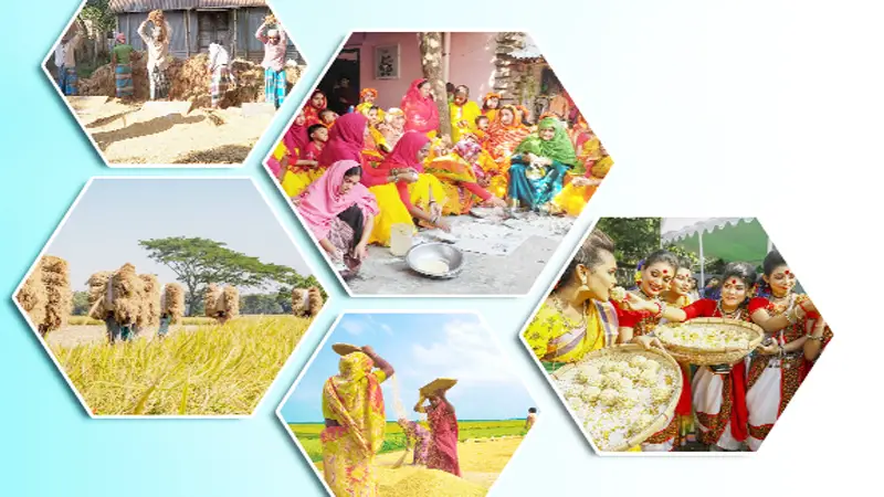 নতুন ধানের উৎসব ‘নবান্ন’ নতুন ধানের উৎসব ‘নবান্ন’