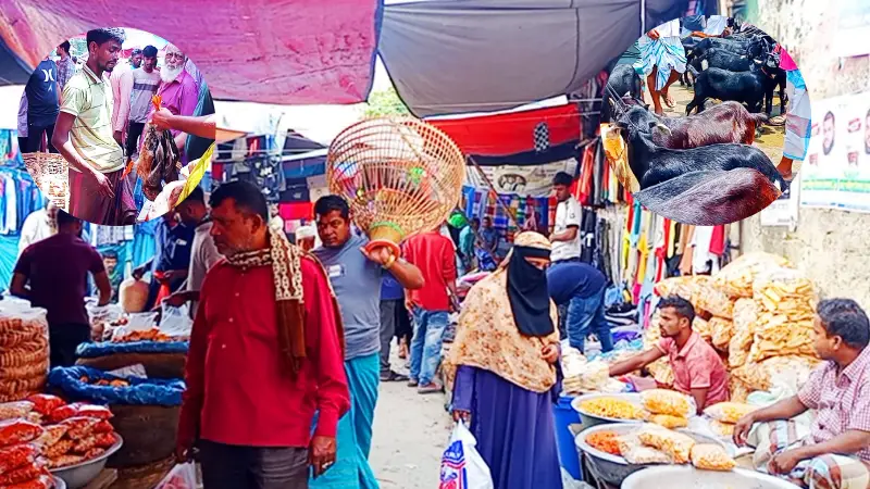 শত বছরের ঐতিহ্যবাহী দোহারের জয়পাড়া বাজারের হাট শত বছরের ঐতিহ্যবাহী দোহারের জয়পাড়া বাজারের হাট