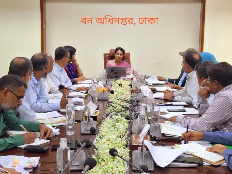 ইউক্যালিপটাস ও আকাশমণি গাছ রোপণ বন্ধ করবে বন বিভাগ- পরিবেশ উপদেষ্টা ইউক্যালিপটাস ও আকাশমণি গাছ রোপণ বন্ধ করবে বন বিভাগ- পরিবেশ উপদেষ্টা