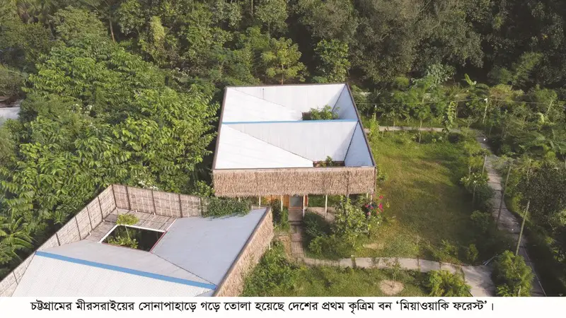 দেশের প্রথম কৃত্রিম বন মিয়াওয়াকি ফরেস্ট দেশের প্রথম কৃত্রিম বন মিয়াওয়াকি ফরেস্ট