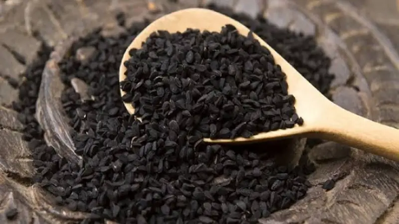 কালিজিরার অসাধারণ গুণাগুণ! কালিজিরার অসাধারণ গুণাগুণ!