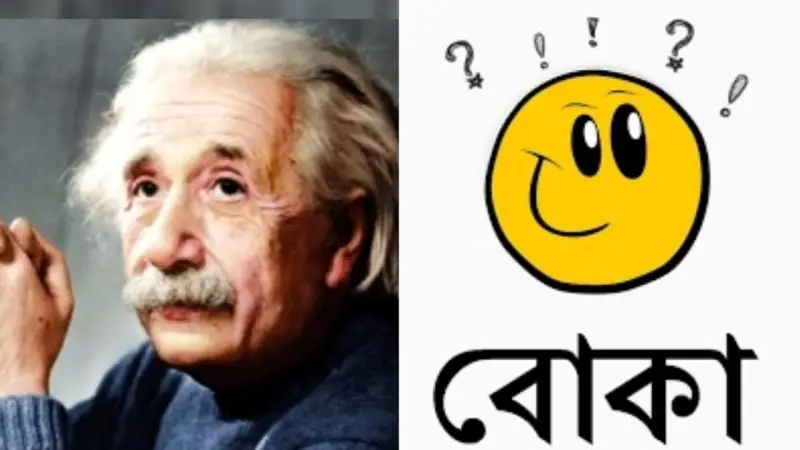 যে ৫টি লক্ষণে বুঝতে পারবেন আপনি বুদ্ধিমান নাকি বোকা যে ৫টি লক্ষণে বুঝতে পারবেন আপনি বুদ্ধিমান নাকি বোকা