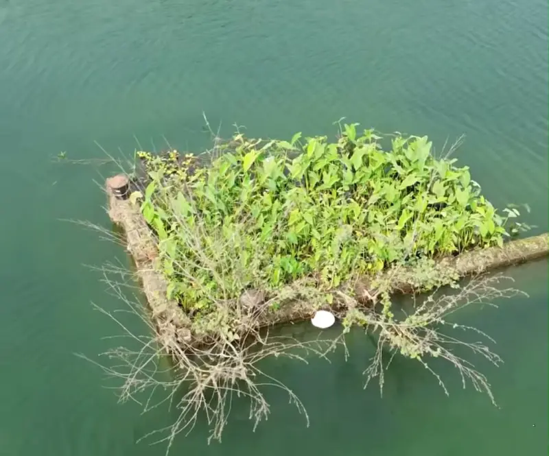 বুলডোজার দিয়েও সরানো যায়নি, পানিতে ভাসমান কবরটি বুলডোজার দিয়েও সরানো যায়নি, পানিতে ভাসমান কবরটি