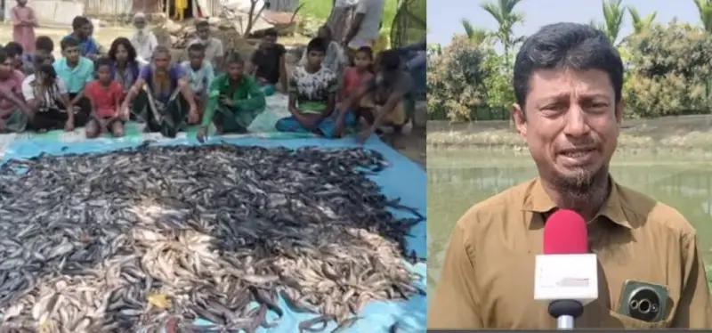 শত্রুর দেওয়া বিষে লাখ টাকার মাছ হারিয়ে সর্বস্বান্ত মাছ চাষী শত্রুর দেওয়া বিষে লাখ টাকার মাছ হারিয়ে সর্বস্বান্ত মাছ চাষী