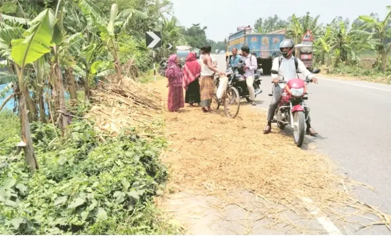 মহাসড়কে খড় শুকাতে গিয়ে প্রাণ গেল কৃষকের মহাসড়কে খড় শুকাতে গিয়ে প্রাণ গেল কৃষকের
