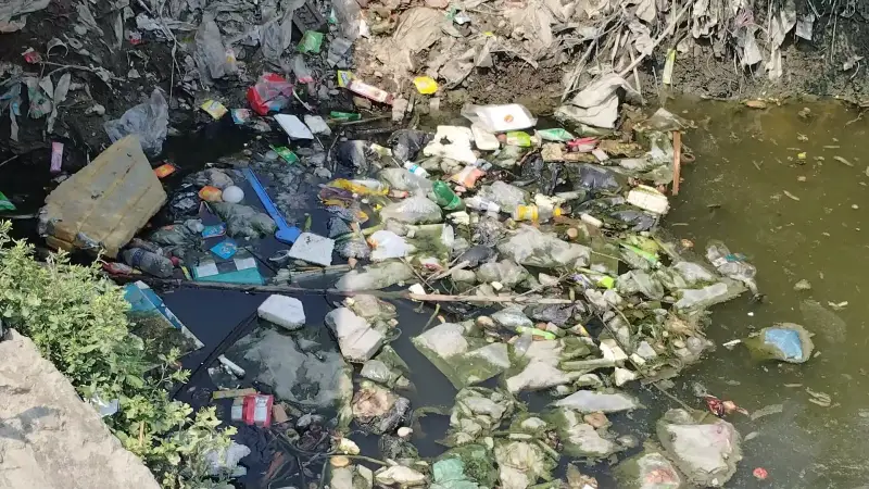 রামগতিতে খাল দূষণে হুমকির মুখে জনস্বাস্থ্য ও পরিবেশ রামগতিতে খাল দূষণে হুমকির মুখে জনস্বাস্থ্য ও পরিবেশ