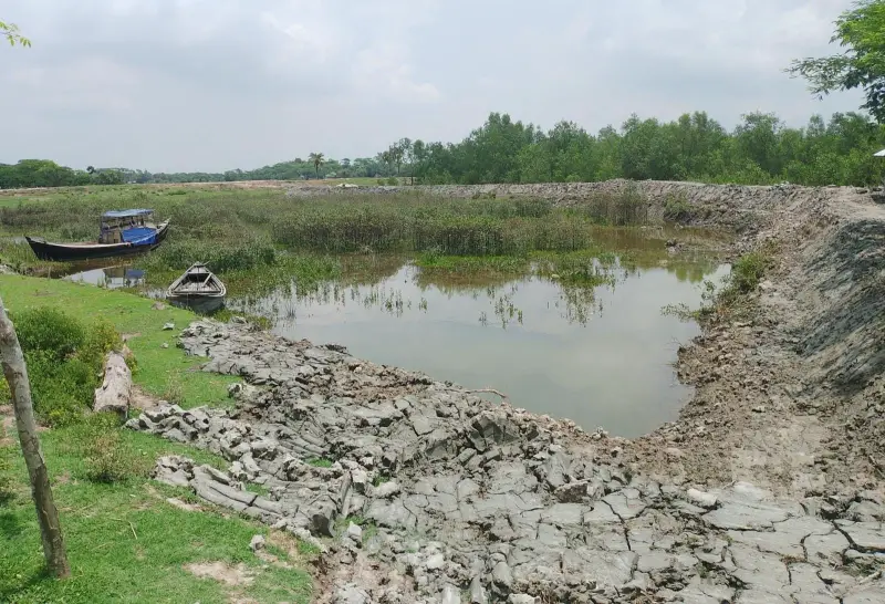 বন কর্মকর্তাদের যোগসাজশে বনাঞ্চল উজাড় করে মাছের ঘের বন কর্মকর্তাদের যোগসাজশে বনাঞ্চল উজাড় করে মাছের ঘের