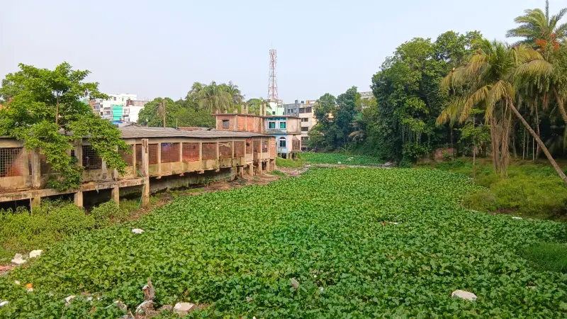 দখল-দূষণে অস্তিত্ব সংকটে রহমতখালী খাল, বর্ষায় জলাবদ্ধতার শঙ্কা দখল-দূষণে অস্তিত্ব সংকটে রহমতখালী খাল, বর্ষায় জলাবদ্ধতার শঙ্কা