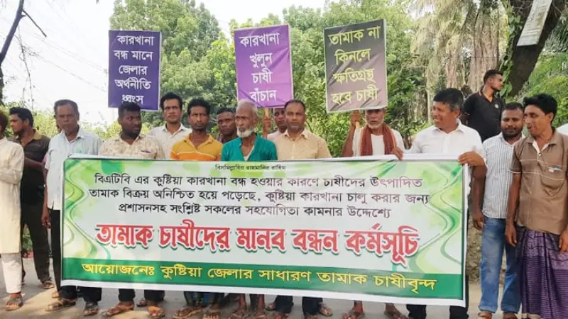কুষ্টিয়ায় বিএটিবি কারখানা চালুর দাবিতে তামাক চাষিদের মানববন্ধন কুষ্টিয়ায় বিএটিবি কারখানা চালুর দাবিতে তামাক চাষিদের মানববন্ধন