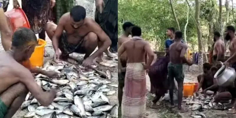 জেল হাজতে থাকা যুবলীগ নেতার পুকুরে বিষ প্রয়োগে দেড় লক্ষাধিক টাকার মাছ নিধন জেল হাজতে থাকা যুবলীগ নেতার পুকুরে বিষ প্রয়োগে দেড় লক্ষাধিক টাকার মাছ নিধন
