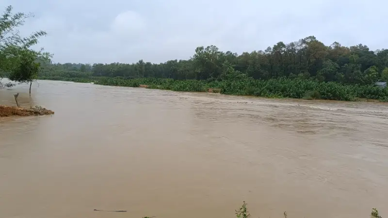 নালিতাবাড়ীতে পাহাড়ি ঢল: বাড়ছে নদীর পানি, অকাল বন্যার শঙ্কা নালিতাবাড়ীতে পাহাড়ি ঢল: বাড়ছে নদীর পানি, অকাল বন্যার শঙ্কা