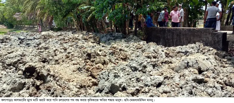 কলাপাড়ায় কালভার্টের মুখে মাটি ভরাট: জলাবদ্ধতায় কৃষিকাজে ক্ষতির আশঙ্কা কলাপাড়ায় কালভার্টের মুখে মাটি ভরাট: জলাবদ্ধতায় কৃষিকাজে ক্ষতির আশঙ্কা