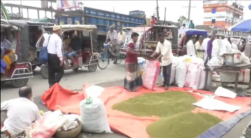 পটুয়াখালীতে মুগ ডালের বাজার মধ্যস্বত্তভোগীদের নিয়ন্ত্রণে, দিশেহারা কৃষক পটুয়াখালীতে মুগ ডালের বাজার মধ্যস্বত্তভোগীদের নিয়ন্ত্রণে, দিশেহারা কৃষক