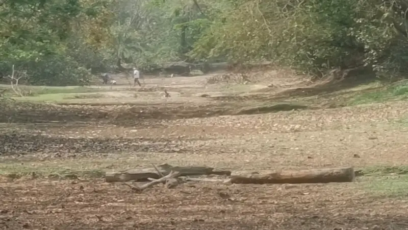 পটুয়াখালীর কচ্ছপখালী খাল আজ মৃতপ্রায় পটুয়াখালীর কচ্ছপখালী খাল আজ মৃতপ্রায়