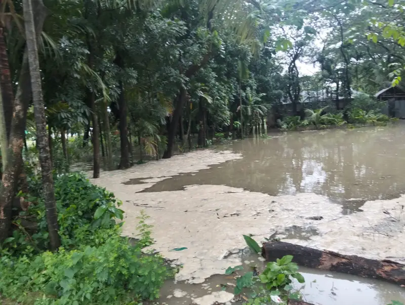 ভোলায় ঝড়ো বাতাস বৃষ্টি মাছঘাটসহ দুুটি ট্রলার বিধ্বস্ত ভোলায় ঝড়ো বাতাস বৃষ্টি মাছঘাটসহ দুুটি ট্রলার বিধ্বস্ত