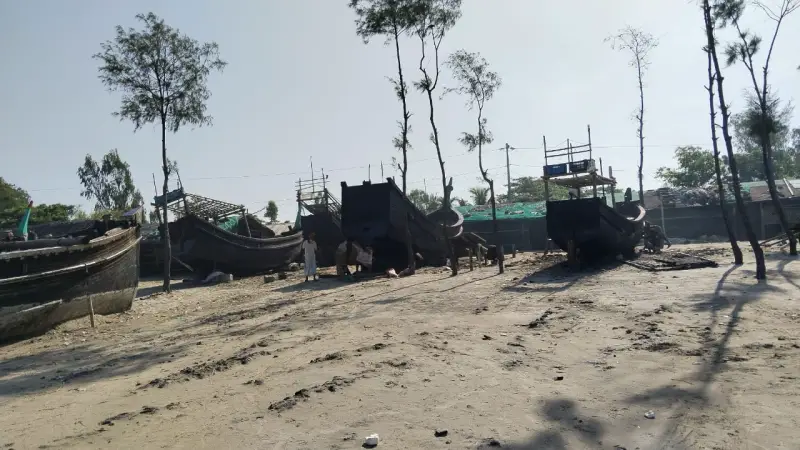 কুতুবদিয়ায় ঝাউবন নিধন, সাগরে ফেলা হচ্ছে বর্জ্য কুতুবদিয়ায় ঝাউবন নিধন, সাগরে ফেলা হচ্ছে বর্জ্য