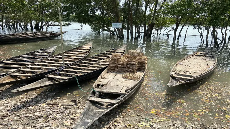 সুন্দরবনে তিন মাসের নিষেধাজ্ঞা শুরু: দুর্বিষহ জীবনে জেলে–বাওয়ালিরা সুন্দরবনে তিন মাসের নিষেধাজ্ঞা শুরু: দুর্বিষহ জীবনে জেলে–বাওয়ালিরা