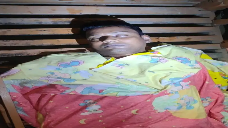 সোনারগাঁয়ে ঘাস কাটতে গিয়ে সাপের কামড়ে এক ব্যক্তির মৃত্যু
