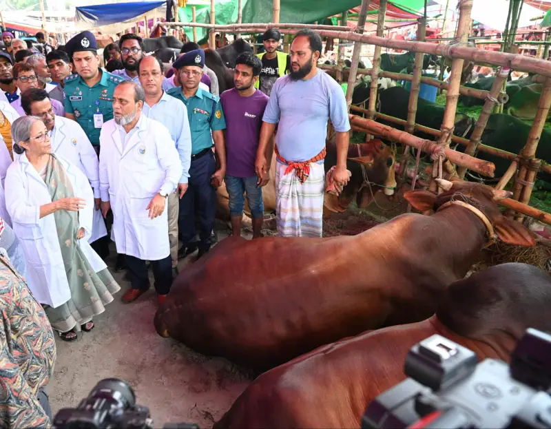 কোরবানির জন্য দেশে পর্যাপ্ত পশু মজুদ রয়েছে: প্রাণিসম্পদ উপদেষ্টা কোরবানির জন্য দেশে পর্যাপ্ত পশু মজুদ রয়েছে: প্রাণিসম্পদ উপদেষ্টা