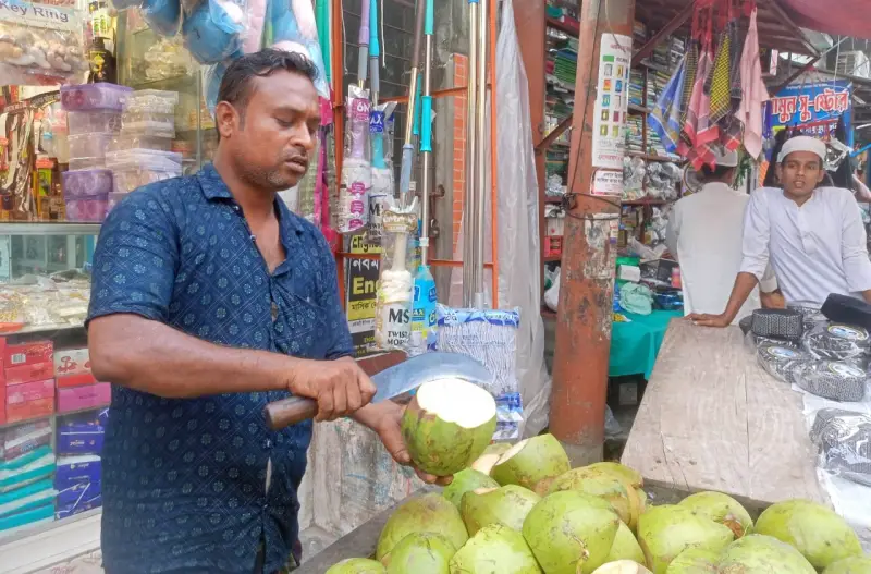 তীব্র গরমে ডাবের চাহিদা বেড়েছে, স্বস্তি খুঁজছে মানুষ তীব্র গরমে ডাবের চাহিদা বেড়েছে, স্বস্তি খুঁজছে মানুষ