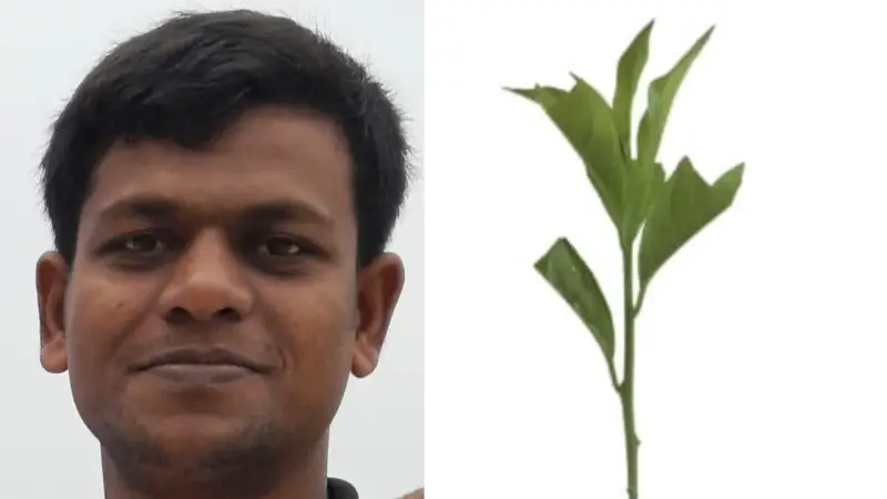পরিবেশ ধ্বংস মানে আত্মবিনাশ: দায়িত্বটা আমাদেরই