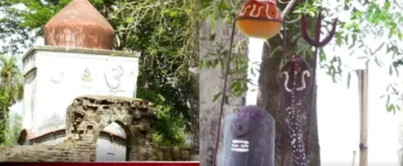 ১২০০ বছরের গুপ্তধন পাহারা দিচ্ছে সাপ! ১২০০ বছরের গুপ্তধন পাহারা দিচ্ছে সাপ!