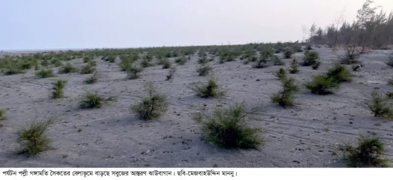 ধু-ধু বালুরচরে সবুজের জাগরণ: গঙ্গামতিতে ৬২ একর নতুন বনভূমি ধু-ধু বালুরচরে সবুজের জাগরণ: গঙ্গামতিতে ৬২ একর নতুন বনভূমি