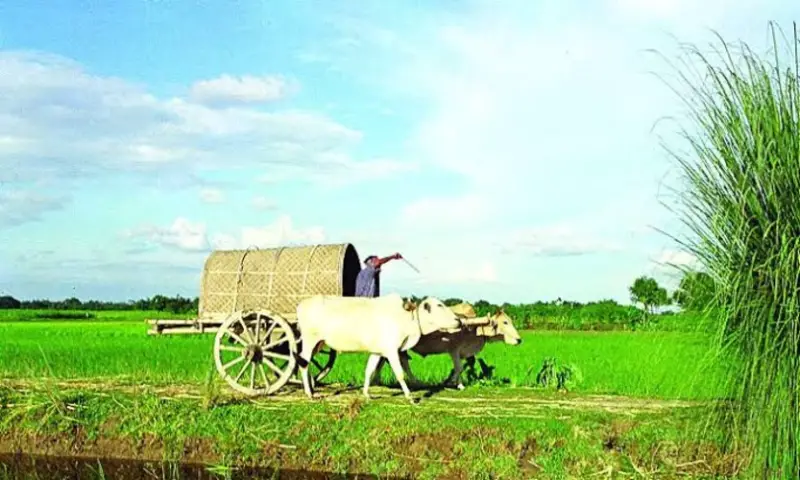 গ্রামবাংলার পথ ছেড়ে ইতিহাসের পাতায় হারিয়ে যাচ্ছে ঘোড়া ও গরুর গাড়ি গ্রামবাংলার পথ ছেড়ে ইতিহাসের পাতায় হারিয়ে যাচ্ছে ঘোড়া ও গরুর গাড়ি