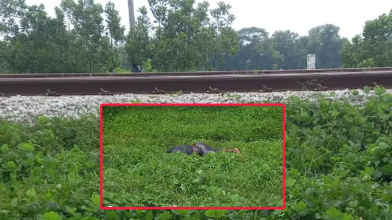 কুমিল্লার বুড়িচংয়ে এক সপ্তাহ ধরে পড়ে থাকা যুবকের গলিত লাশ উদ্ধার কুমিল্লার বুড়িচংয়ে এক সপ্তাহ ধরে পড়ে থাকা যুবকের গলিত লাশ উদ্ধার