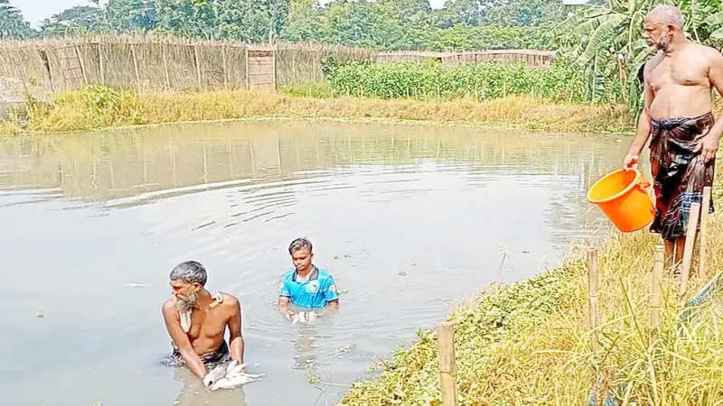 মাছের সাথে এ কেমন শত্রুতা! মাছের সাথে এ কেমন শত্রুতা!