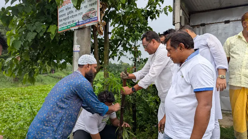 বিলুপ্ত দেশীয় গাছ বাঁচাতে ধামরাইয়ে ৩ হাজার চারা রোপণ বিলুপ্ত দেশীয় গাছ বাঁচাতে ধামরাইয়ে ৩ হাজার চারা রোপণ