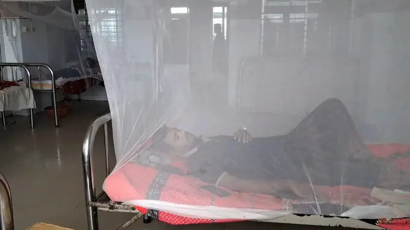 দ্বীপ জেলা ভোলাতেও ডেঙ্গু জ্বর আক্রান্ত হচ্ছে মানুষ দ্বীপ জেলা ভোলাতেও ডেঙ্গু জ্বর আক্রান্ত হচ্ছে মানুষ