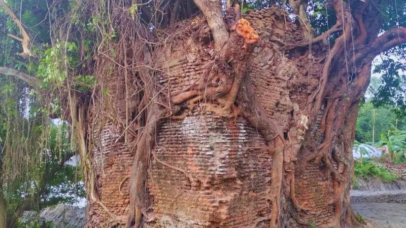রক্ষণাবেক্ষণের অপেক্ষায় দুই শত বছরের ঐতিহাসিক ছোট মসজিদ রক্ষণাবেক্ষণের অপেক্ষায় দুই শত বছরের ঐতিহাসিক ছোট মসজিদ