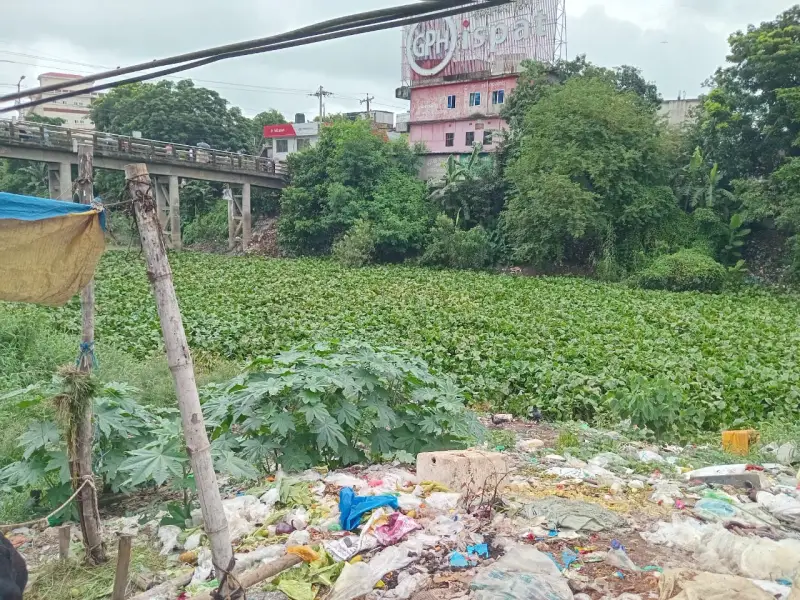 দোহারের জয়পাড়া খাল যেন মশার নিরাপদ প্রজননক্ষেত্র দোহারের জয়পাড়া খাল যেন মশার নিরাপদ প্রজননক্ষেত্র